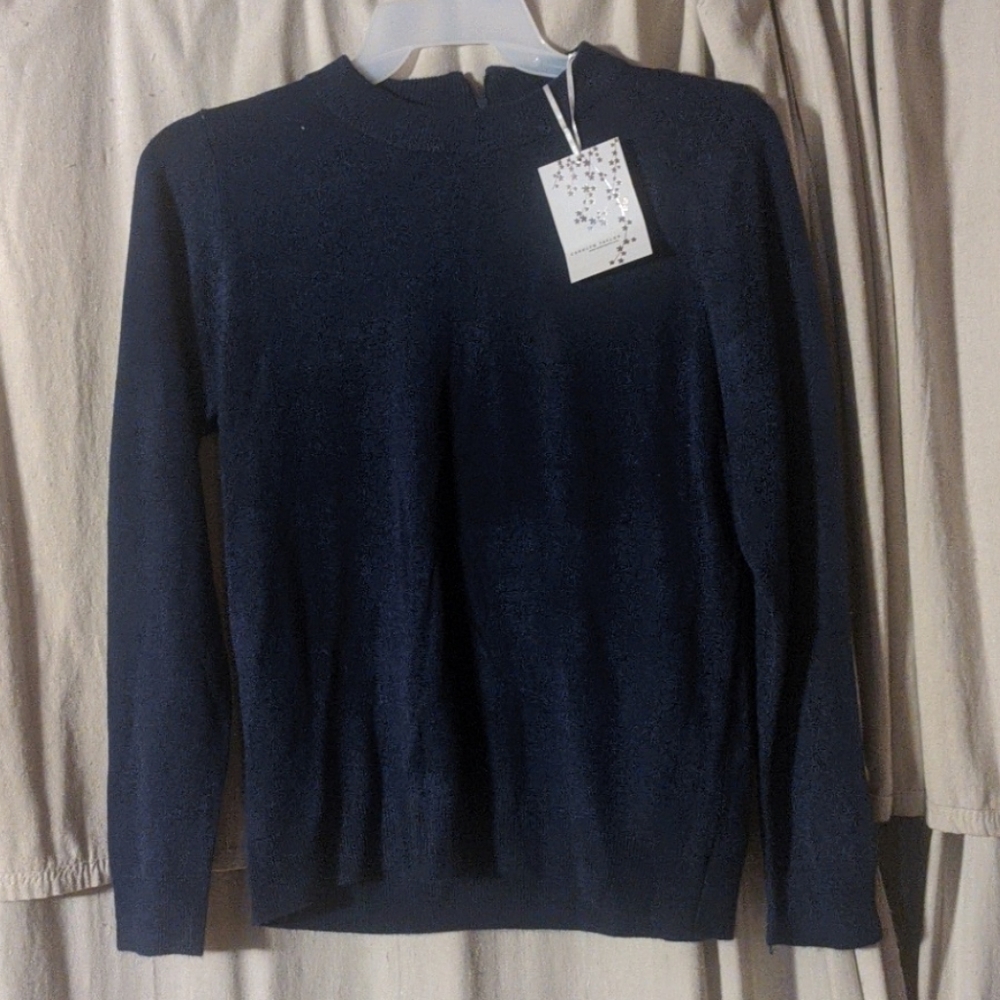 Carolyn Taylor sweater pullover